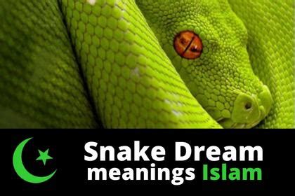 islam snakes in dreams|white snake in dream islam.